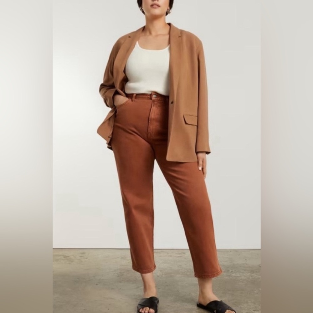 EVERLANE NWTs the way high jean rich earth size 33  27.5” inseam